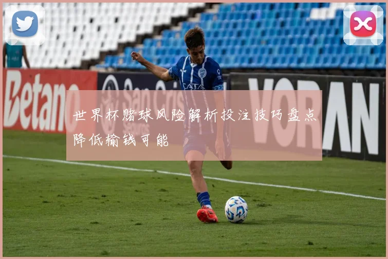 世界杯赌球风险解析投注技巧盘点降低输钱可能