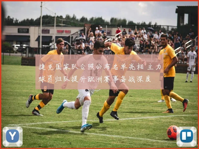 捷克国家队合照公布名单亮相 主力球员归队提升欧洲赛事备战深度