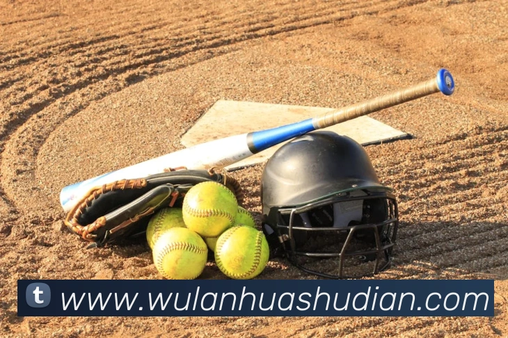 安博app下载网站发展历程